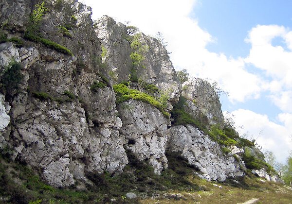 Der grosse Pfahl bei Viechtach
